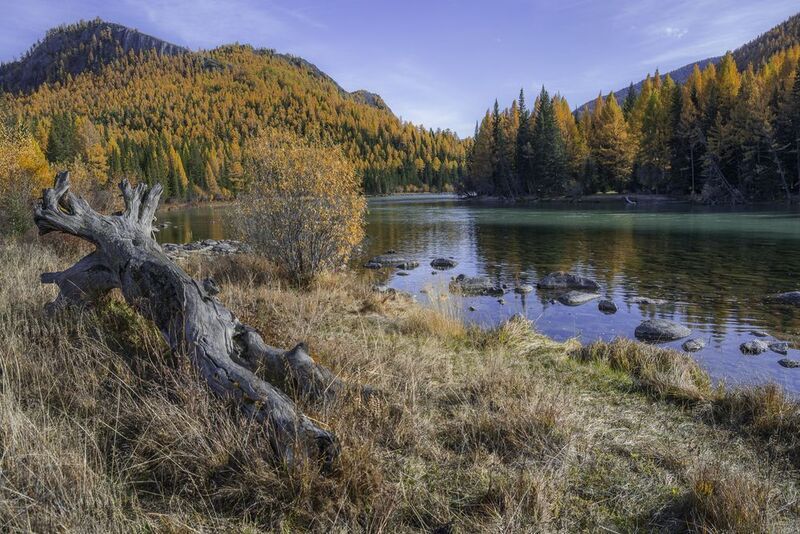 россия, горный алтай, река, осень У бревнаphoto preview