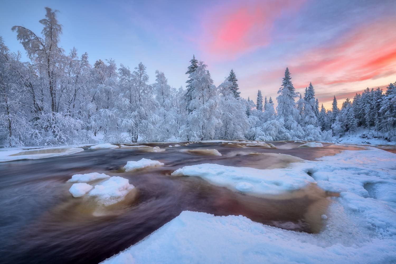 , Евдокимов Максим