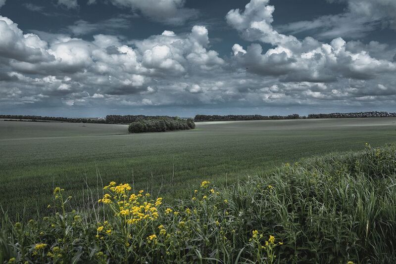 Просто пейзаж.photo preview