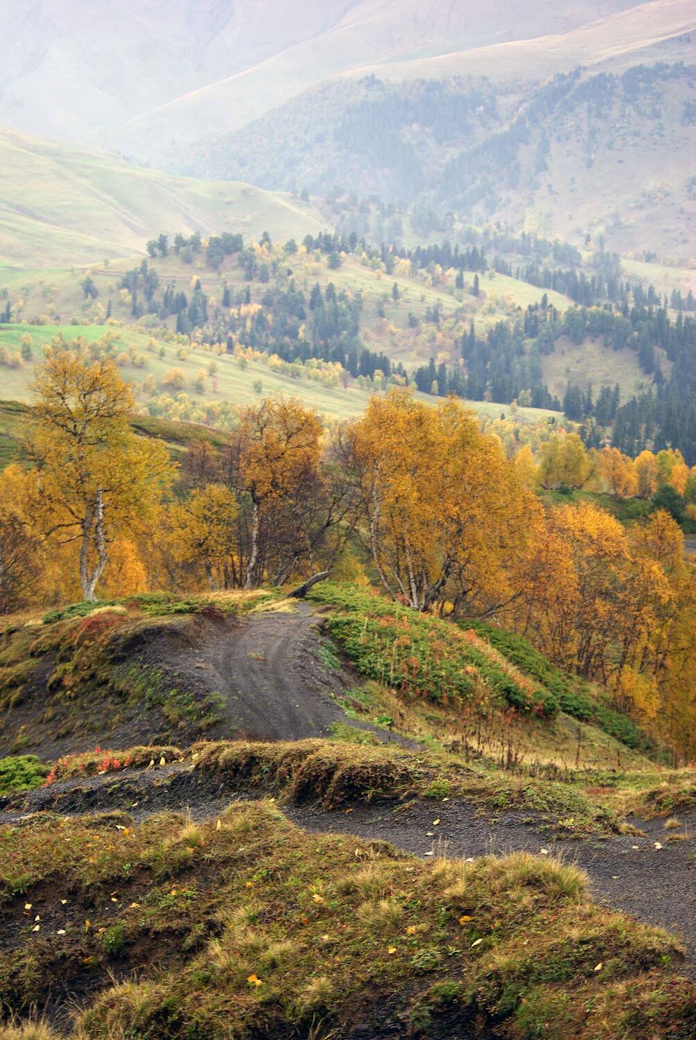 архыз, Андрей Любимов