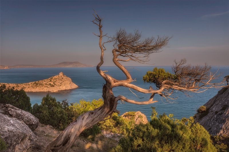 ****** фото превью