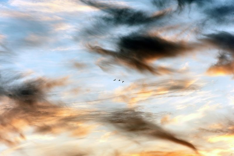 Пора в тёплые края фото превью