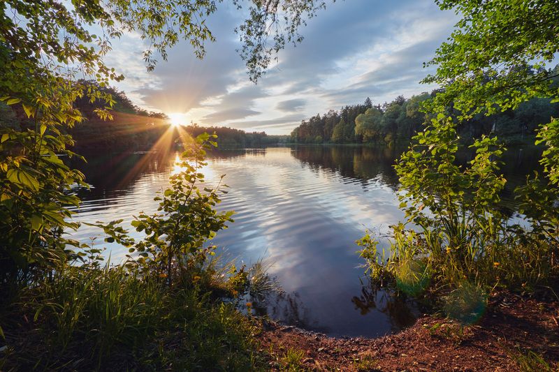 озеро, отражения, лес, небо У озера фото превью