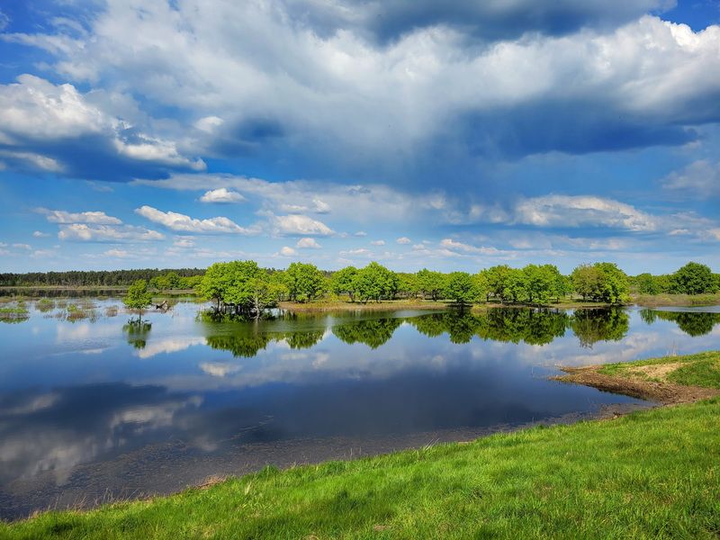 Весенние луга фото превью