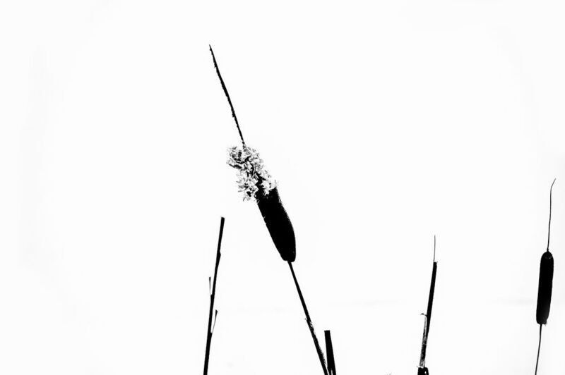 Зимняя графика фото превью