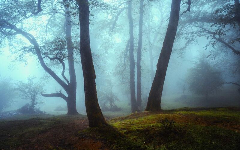 rasht фото превью