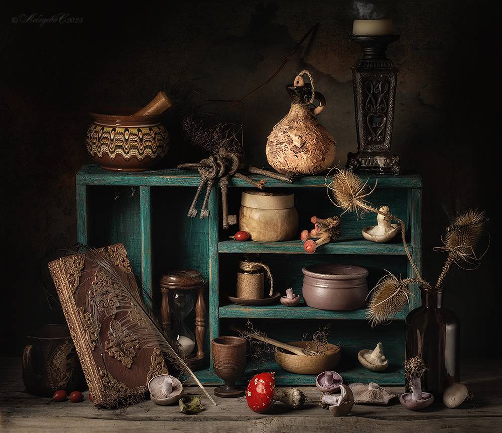 грибы,мухомор,колдовской, Светлана Л.