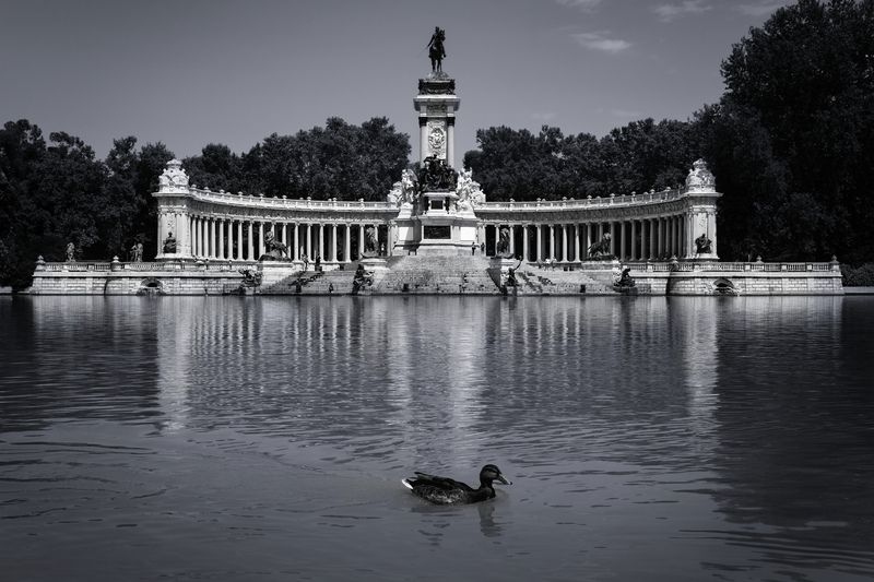 #Water #Cloud #Sky #Black #Lighting #Black-and-white #Style #Lake #Tree #Tower Great Pond of El Retirophoto preview