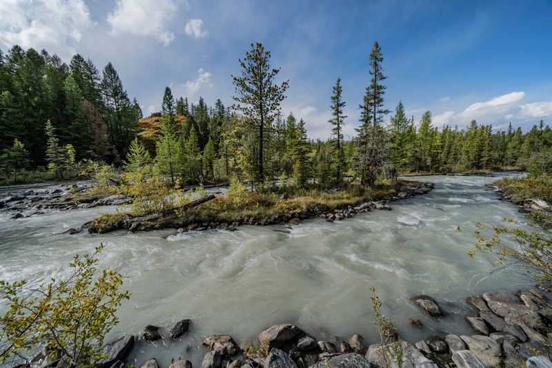 Россия, Горный Алтай, Кош-Агачский район, река Актуру, Перевалка,  У реки Актуру фото превью