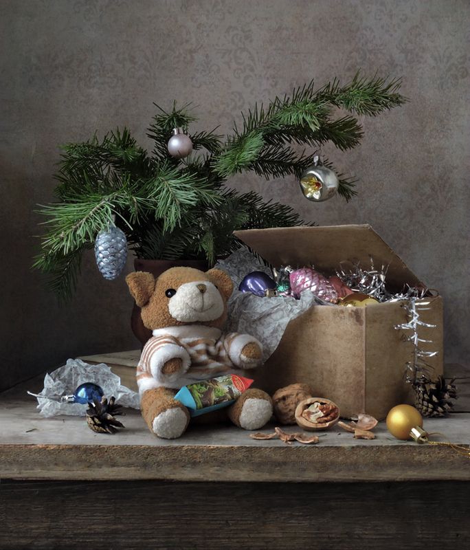 Мишка косолапыйphoto preview