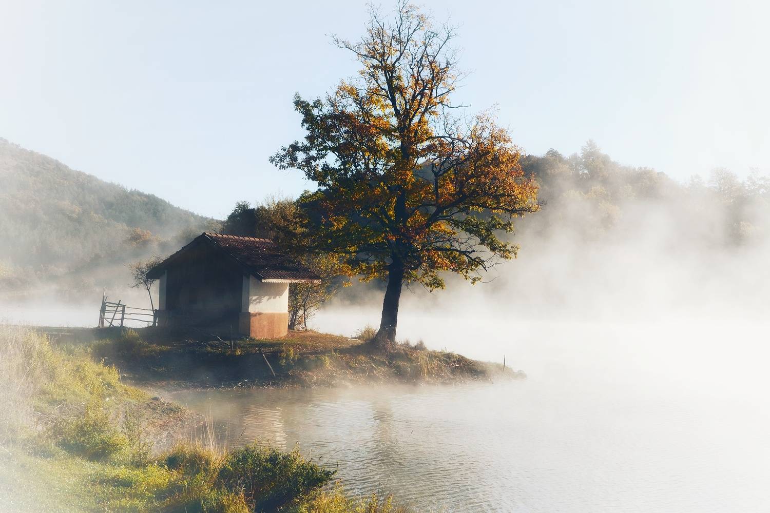 Автор: Юлияна Стоянова , Юлияна Стоянова