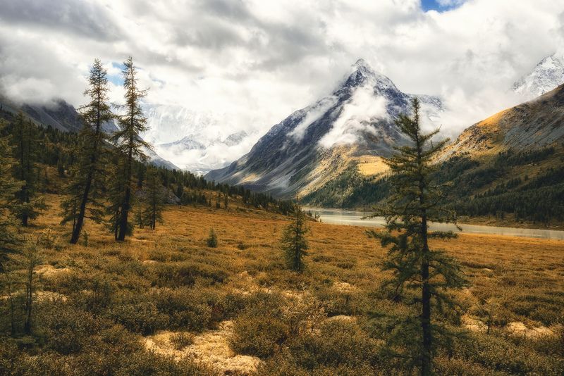 *** фото превью