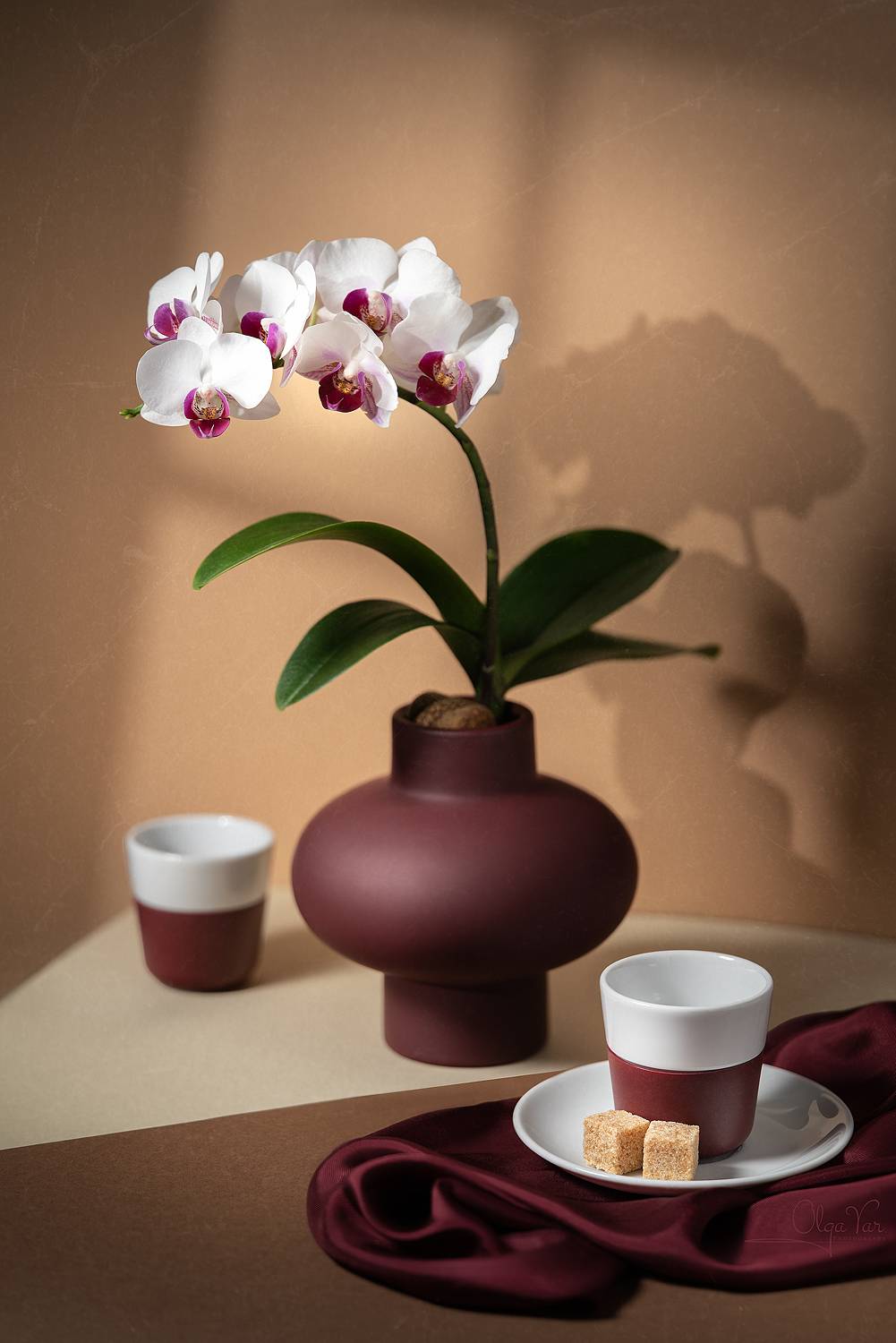 Автор: Ольга Яр орхидея, ваза, цветы, Ольга Яр