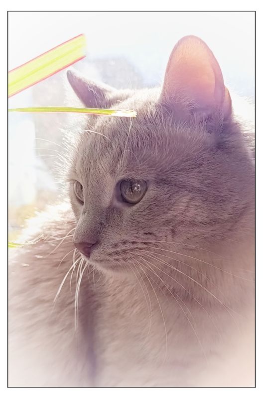 Мой Мальчикphoto preview