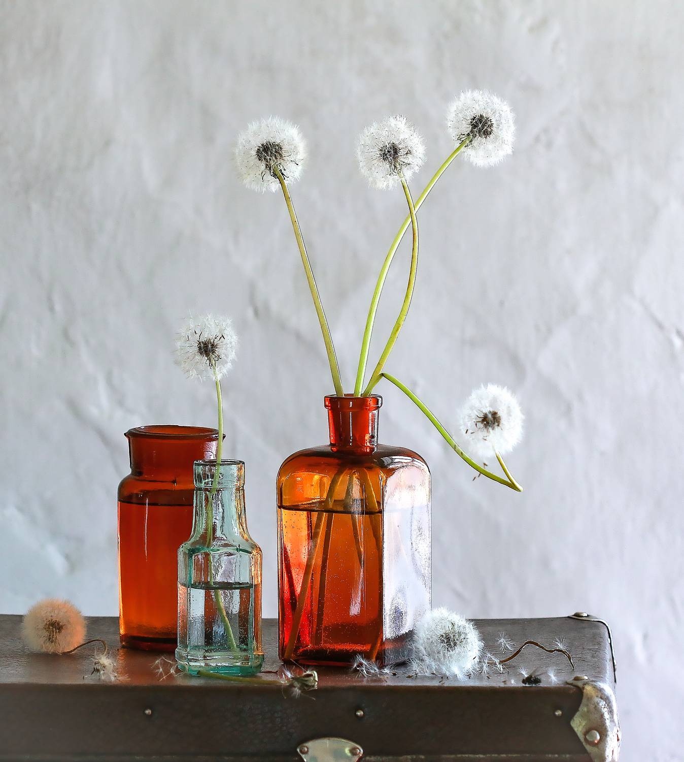 , Наталья Казанцева