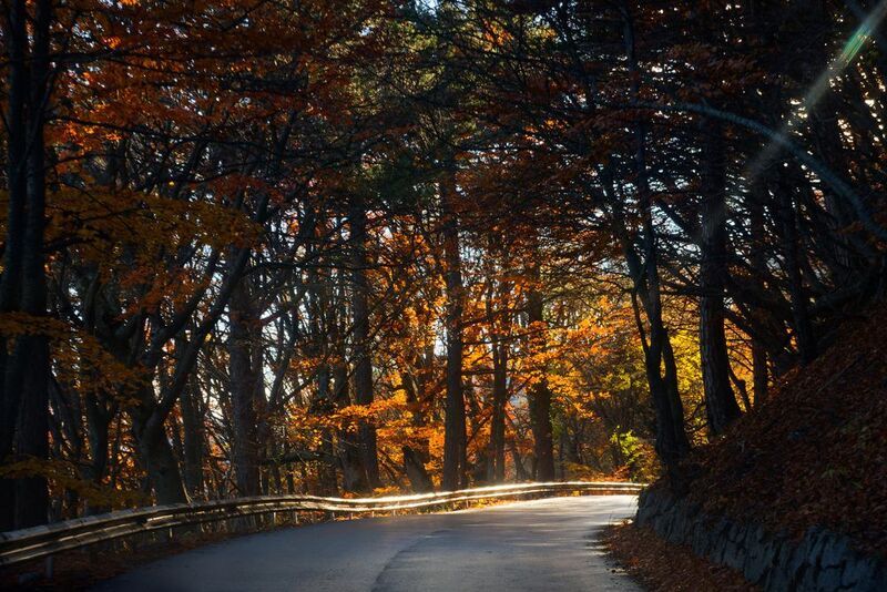 Осенняя дорога в гору фото превью