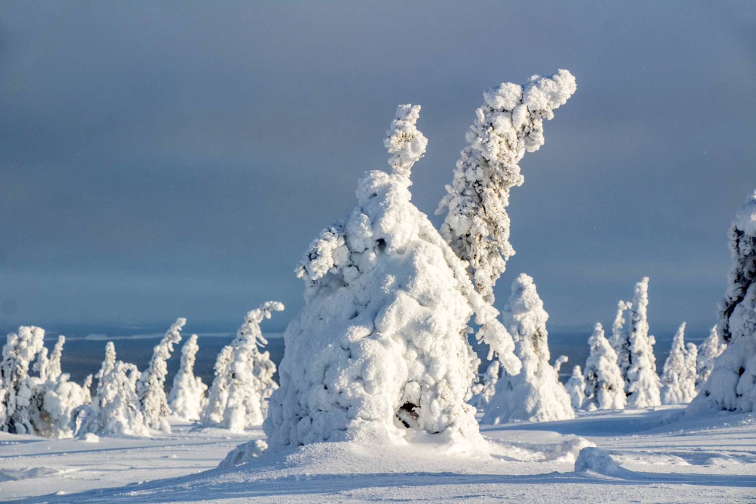 Статуи Рииситунтури 6. Автор: Вадим Городницкий , Вадим Городницкий