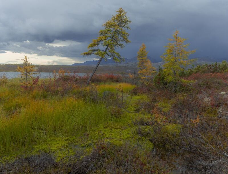 колыма,озеро джека лондона,осень,коса биологов. Колымская осень фото превью