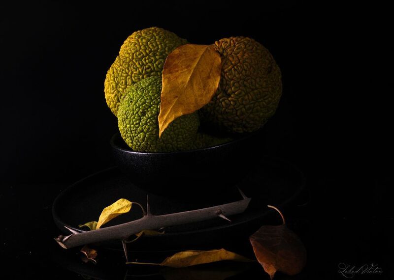 3maclursphoto preview