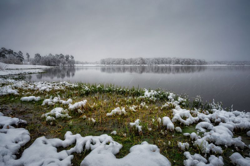 природа лес осень деревья озеро Непогода на озере фото превью