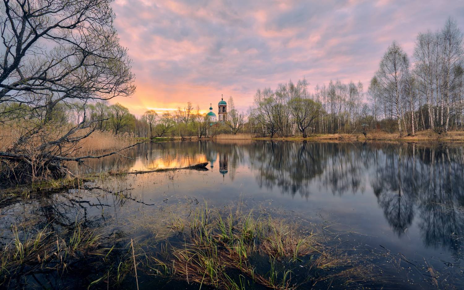 , Роман Лушпа