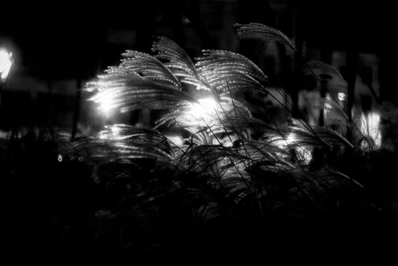 Moscow, Russia, December 2024photo preview