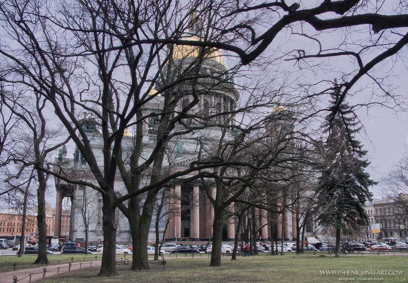 архитектура, городской пейзаж, санкт-петербург, исаакиевская площадь, история, собор За силуэтами ветвей... фото превью