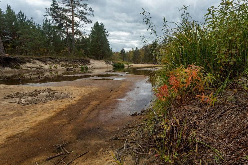 Вода отступила фото превью