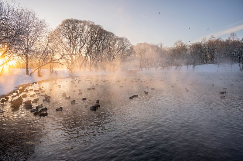 Вятское утиное озеро photo preview