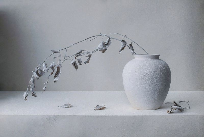 Белый натюрморт фото превью