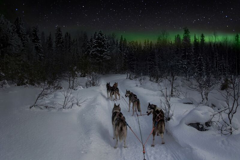 По дороге в сказкуphoto preview