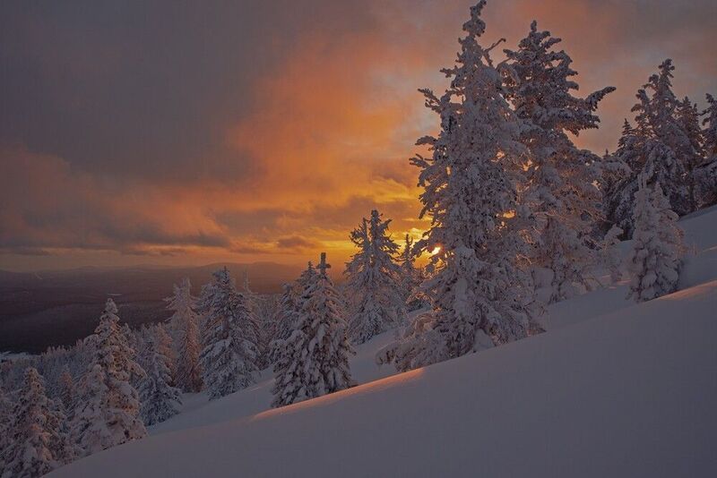 аргиджек, зима, закат, лес, снег Вечерний спектакль начинаетсяphoto preview