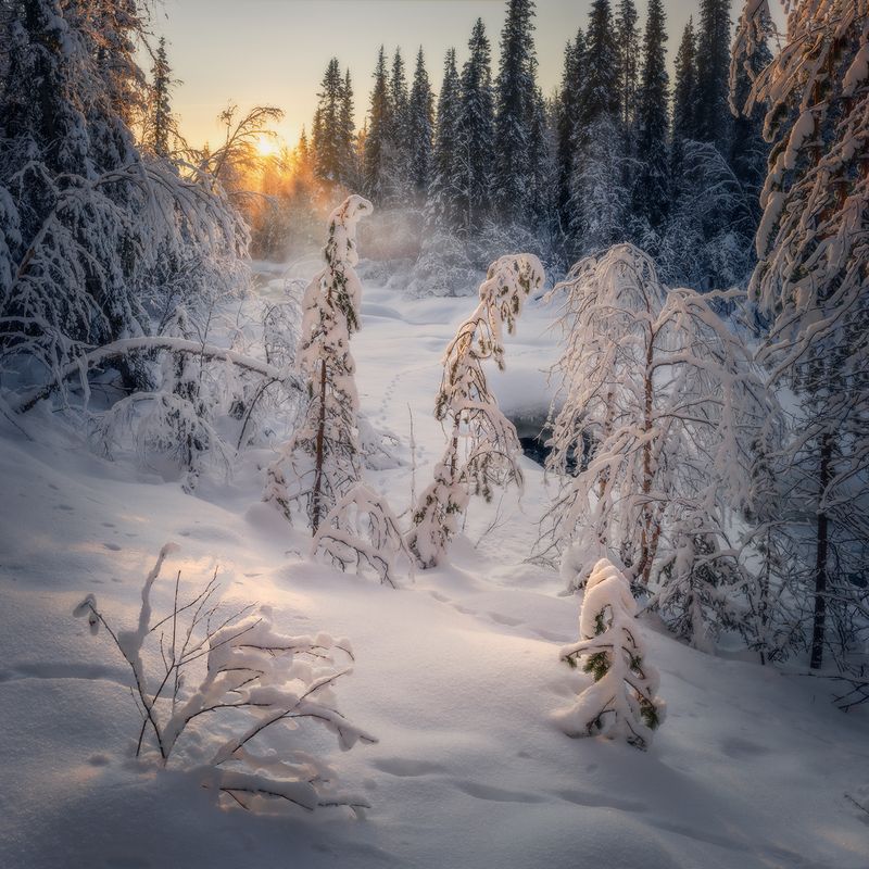 зима, закат, снег, река, мороз Зимний вечер.photo preview