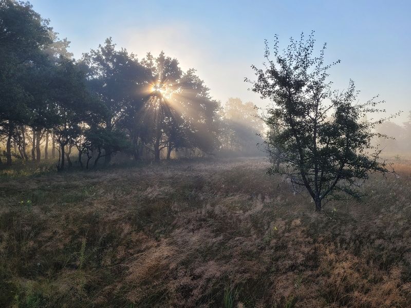 Утренний пейзажphoto preview