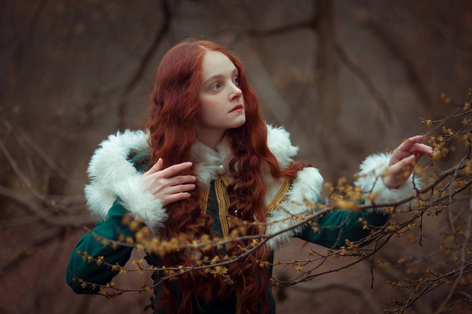 Декабрь в Москве. Автор: Котов Денис , Котов Денис