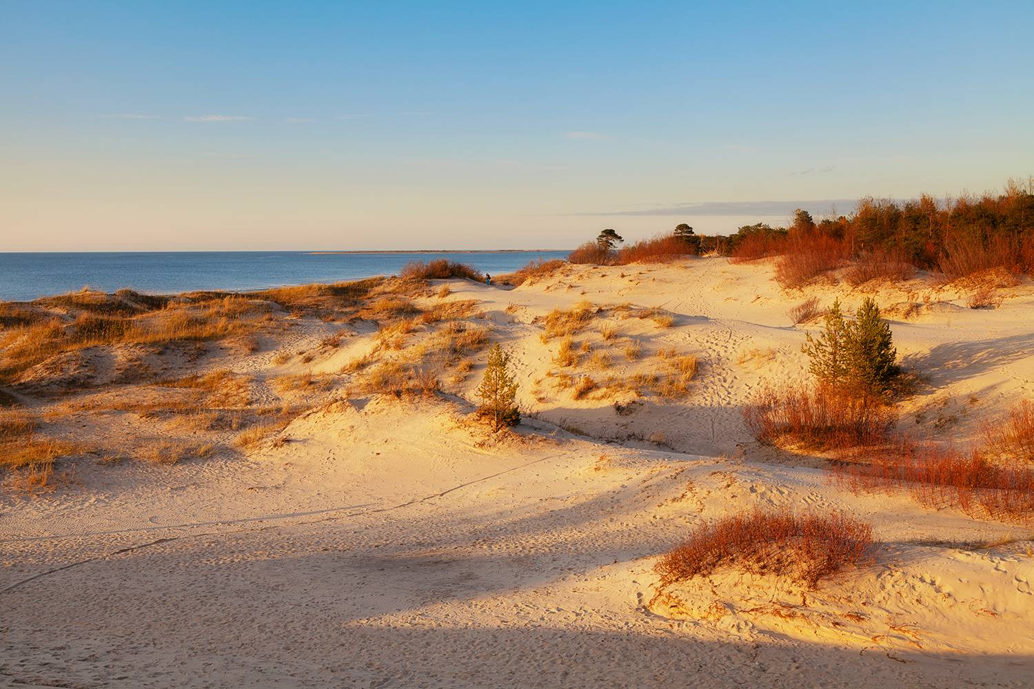 Золотые Ягры. Автор: Медведникова Мария море, песок, пейзаж, Медведникова Мария
