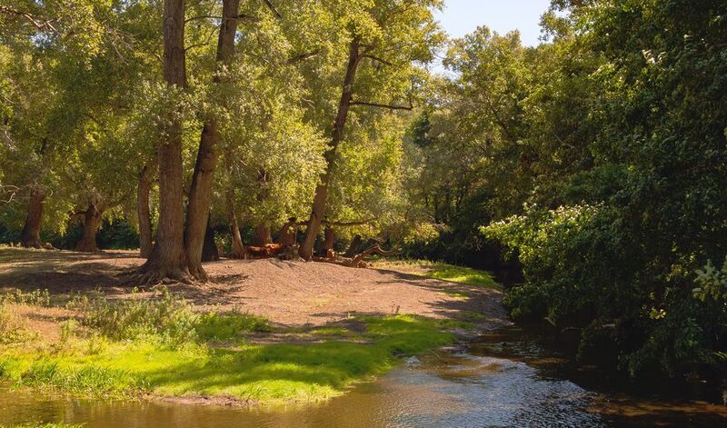 полуденный знойphoto preview