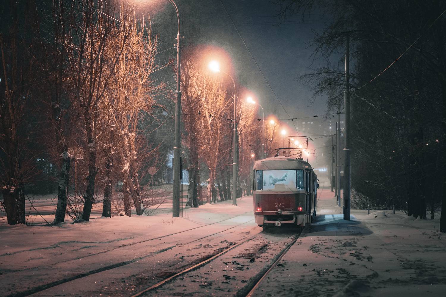 , Щепанов Дмитрий