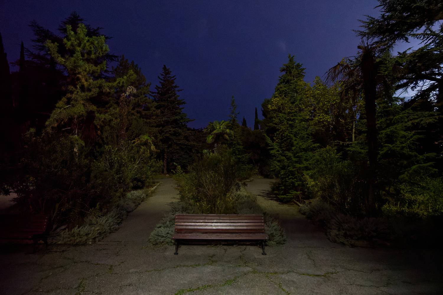 , Какоткин Роман