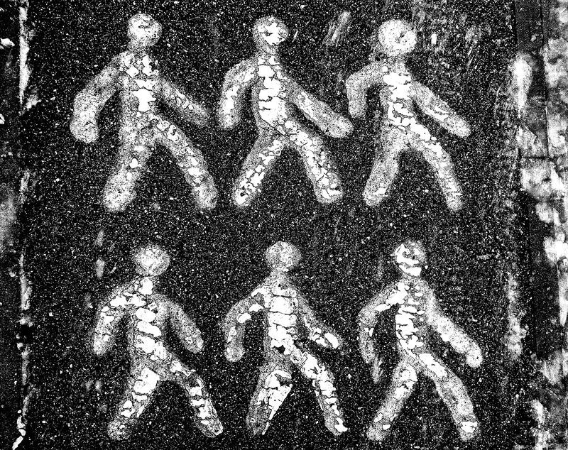 Кто шагает дружно в ряд?photo preview