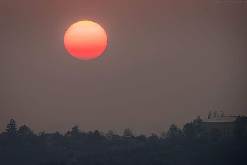 Сонное утроphoto preview