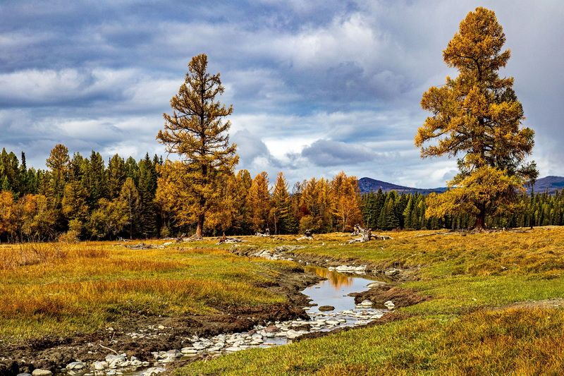 алтай Осенний солнечный деньphoto preview