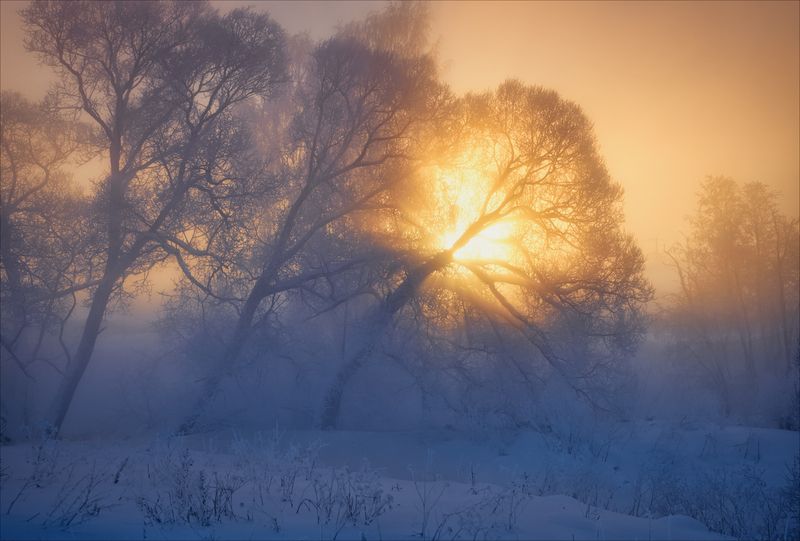 В очередь за светомphoto preview