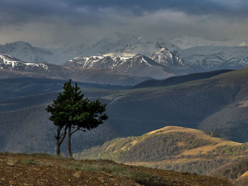 кавказ, кабардино-балкария, горы, эльбрус Приэльбрусье фото превью