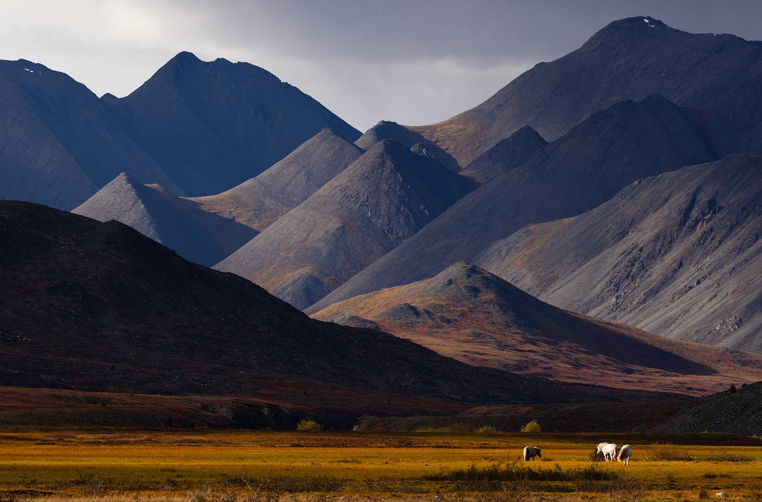 Непогода надвигается на хребет Улахан-Чистай.. Автор: Антон Селезнев , Антон Селезнев