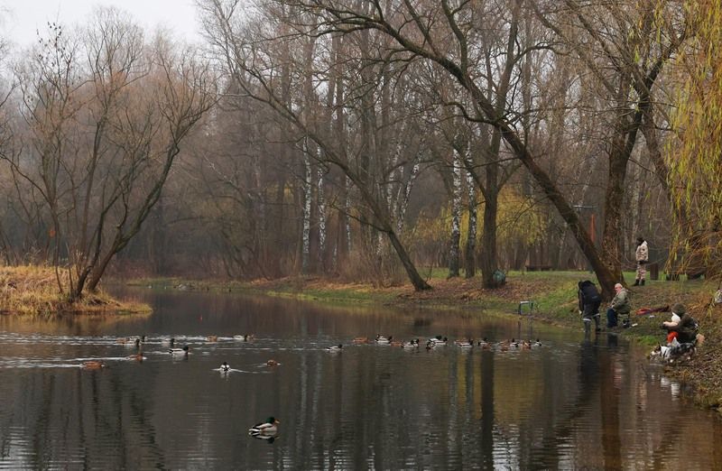 кусковский парк,москва, Кусковский парк.. фото превью