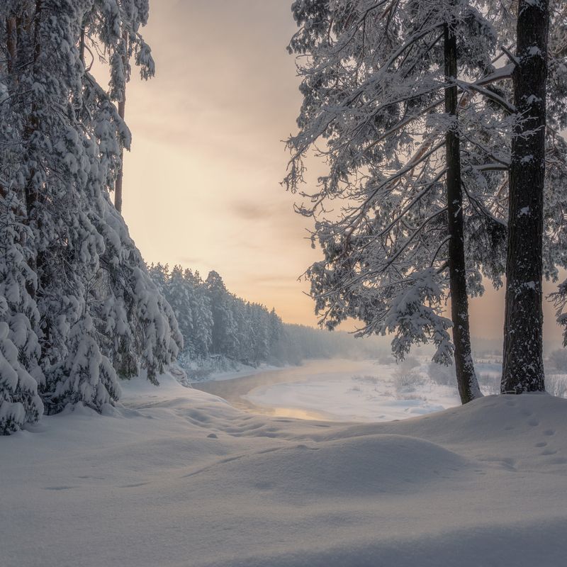 зима закат лес река Тишина декабрьского леса фото превью