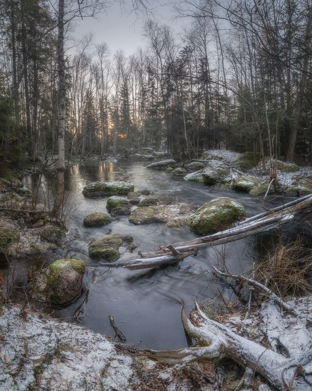 лес, ленобласть, зима, ручей, протока ***photo preview
