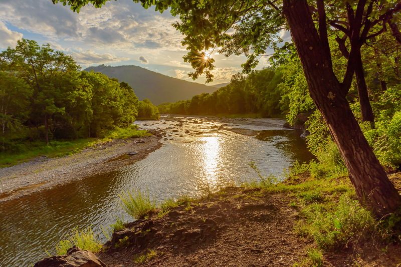 лето, закат, р.рудная Лето...photo preview