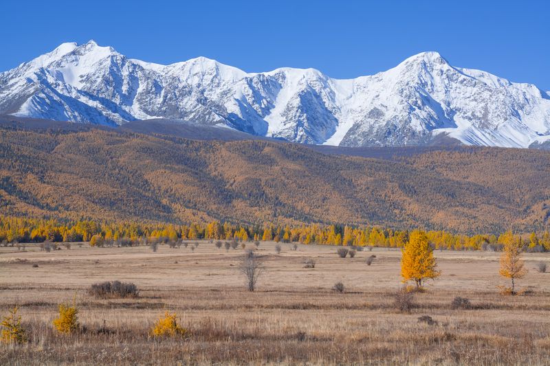 россия, горный алтай,осень Над СЧХ безоблачноphoto preview